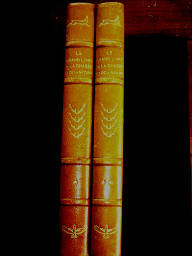 Grand livre chasse et - grand,