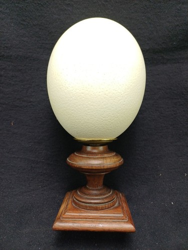 Superbe œuf autruche monté