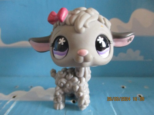 Petshop mouton 477 avec - petshop, /