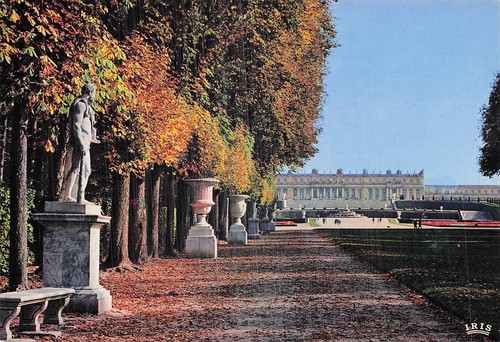 Versailles tapis vert - tapis,