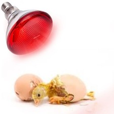 Lampe Chauffante pour Poules Coop Couveuse avec Lumière Infrarouge Rouge E27 Ba
