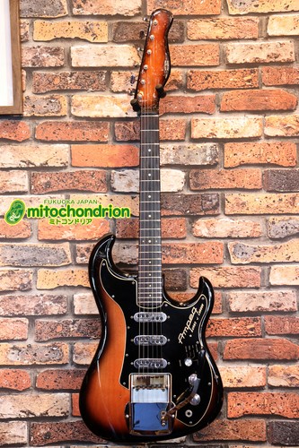 Burns 1960 ampeg - dog, /
