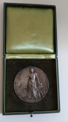 Médaille bronze argenté