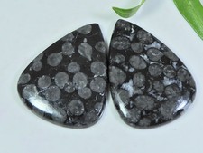 2Pcs 87Cts. Pierre précieuse