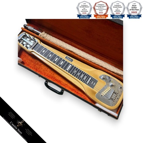 Guitare fender steel guitar - fender,