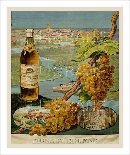Poster 40x60cm une - poster, hq