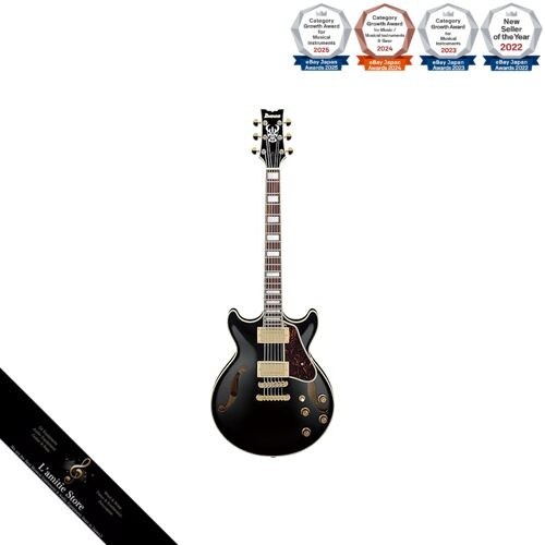 Guitare semi acoustique ibanez - guitare, semi-acoustique
