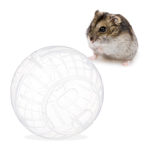 Boule hamster transparente - , 14