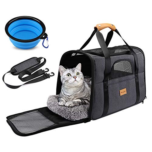 Morpilot sac transport chat - morpilot,