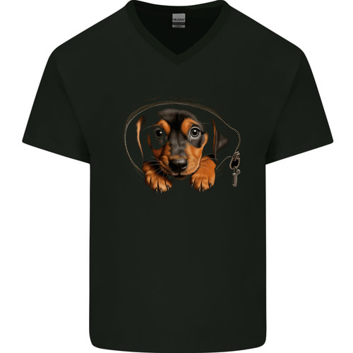 Chiot teckel dans un - un,