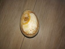 Oeuf en pierre naturelle polie - Minéraux 