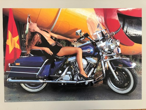 Lady harley davidson - a,
