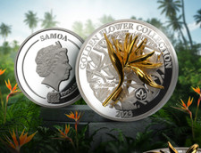 Pièce d'argent 1 once Golden