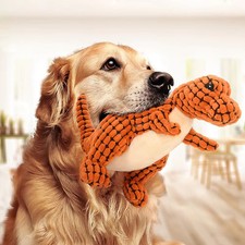 Jouets de dinosaure en peluche pour animaux de compagnie, chats et chiens, jouet