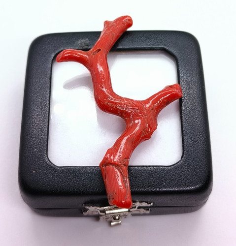 Branches vintage corail - vintage, en