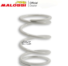 Molla Variatore Malossi