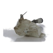 Bocal lave glace - Citroen C4