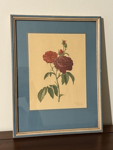 Vintage Pierre Joseph Redouté