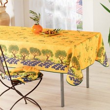 Nappe arbre olivier champs de