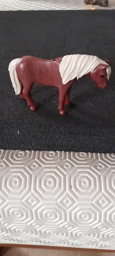 Animal poney centre equestre - animal,
