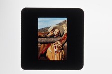 Even Cowgirls Get the Blues