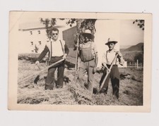 Snapshot argentique travail aux champs foin moisson outils ferme campagne