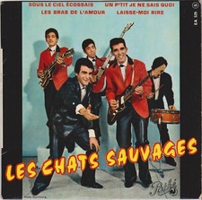 LES CHATS SAUVAGES SOUS LE