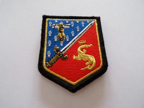 Military badge patch - badge,