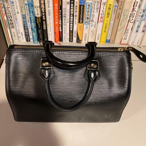 Sac main louis vuitton - main,