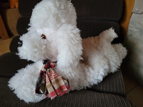 Chien caniche blanc vintage - chien,
