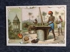 CHROMO CHICOREE BERIOT BELLE