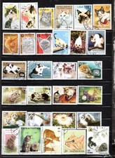 CHATS  timbres oblitérés