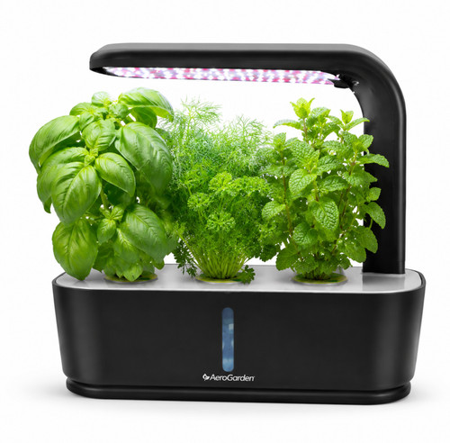 Aerogarden sprout pod indoor - aerogarden,