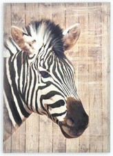 Cadre tableau toile Zèbre +