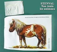 Stenval 1970, série Nos amis les animaux images en relief, n° 30 Poney Shetland