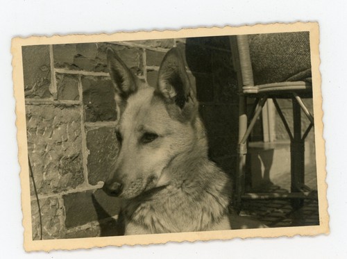 Photo snapshot photographie - photo,