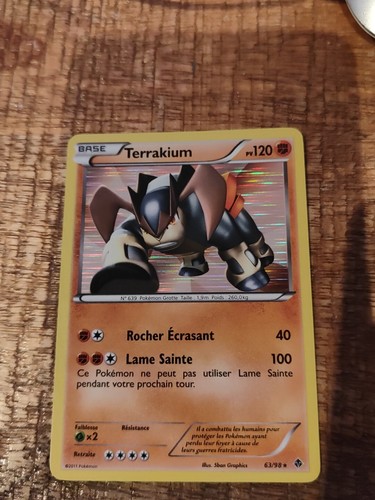 Carte pokemon terrakium - carte,