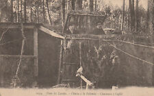 Dans les Landes- Chasse à la Palombe, Chasseurs à l'affût, éditions Gautreau