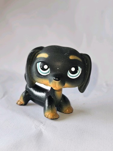 Lps 325 littlest pet shop - #325,