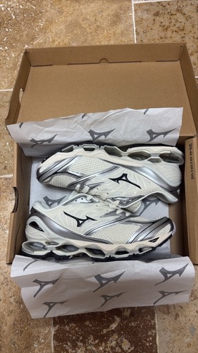 Mizuno wave prophecy - wave,