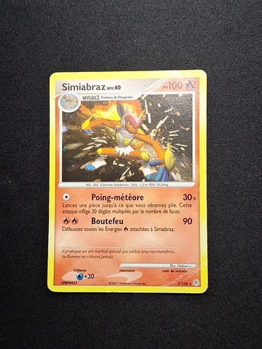 Holo simiabraz 130 dp - holo, 5/130