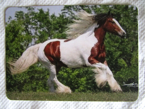 Horse swap card - horse, card~modern