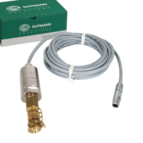 Kit diagnostic gutmann hgs - kit,