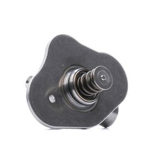 High-pressure pump for RIDEX