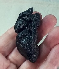 Tectite Bicolite Philippines