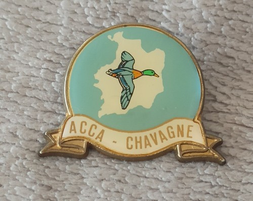 Pins chasse col - col, acca