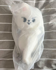 Stray Kids LEEKNOW dominATE