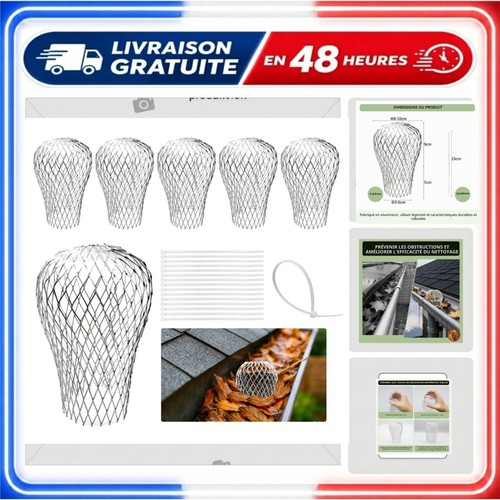 Crapaudine gouttière