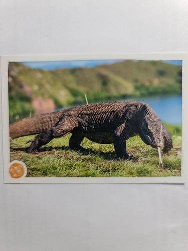 Image sticker autocollant