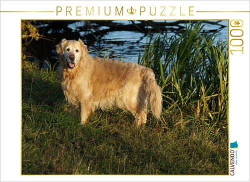 Calvendo puzzle golden - calvendo,